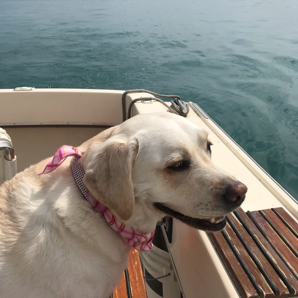 Meet your Posher, Nancy - Picture 3 of 12